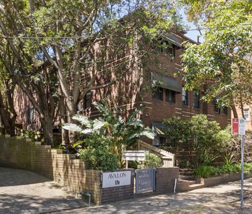 5/17A Poate Road, Centennial Park NSW 2021 - Apartment For Rent | D... - Photo 4