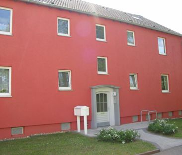 2-Zimmer Wohnung in Gerthe - Foto 1