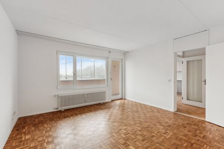 Sanierte 4.5 Zimmerwohnung mit Weitsicht - Photo 5