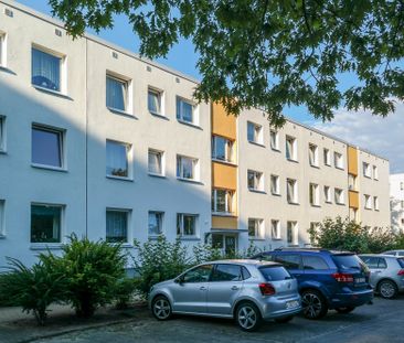 Wird exklusiv modernisiert: Erdgeschoss-Wohnung in Detmerode - Photo 3