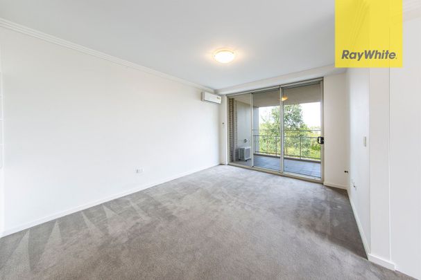modern 2 bedroom apartment overlooking parramatta river - Photo 1