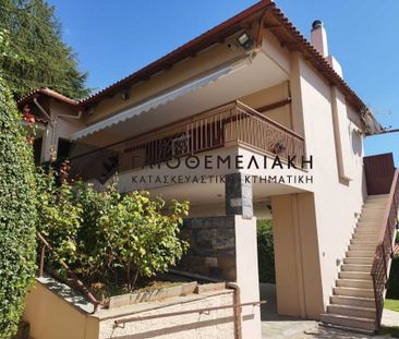 Μονοκατοικία για ενοικίαση Κέντρο (Κρυονέρι) - Photo 2