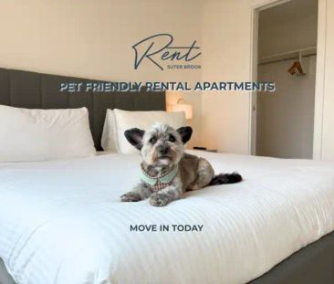 Rent Suter Brook in Suter Brook Village | 302 Morrissey Road, Port ... - Photo 1