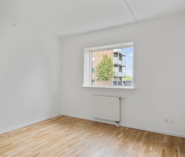 Velkommen til Store Grundet Alle! - Foto 6