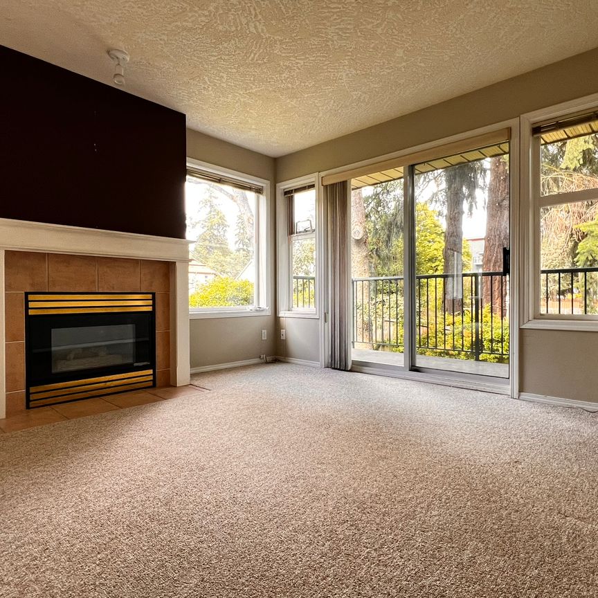 Swan - 204 - Photo 1