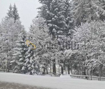 Bilocale viale Dolomiti di Brenta 113, Sant'antonio Di Mavignola, P... - Photo 3