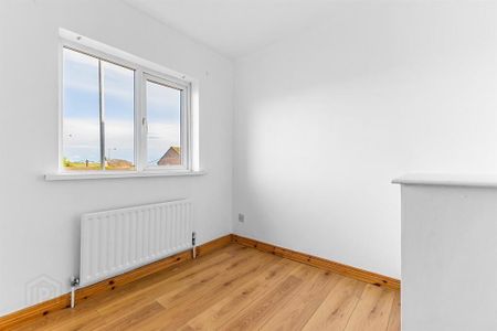 21 Downpatrick Street, Saintfield, BT24 7AY - Photo 4