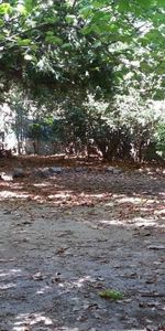 Chambre pour étudiant de septembre à juin - Photo 4