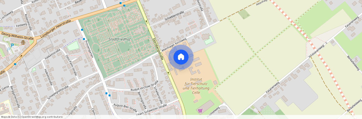 29223 Niedersachsen - Celle