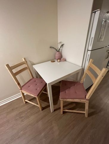 For Lease - 248 Dovercourt Road Unit# LOWER, Toronto, Ontario - Photo 4