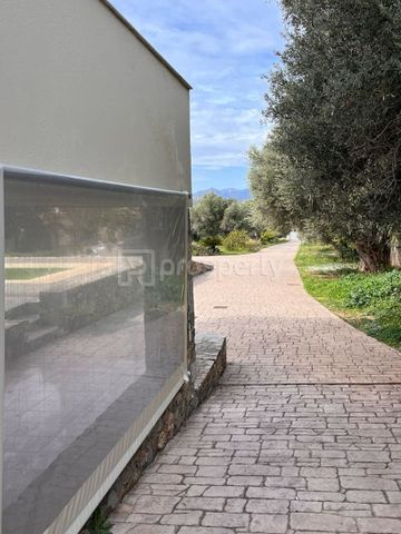 Μεζονέτα για ενοικίαση Κέντρο (Καλύβια Θορικού) - Photo 3