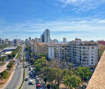 Alicante, Valencian Community 03710 - Photo 5