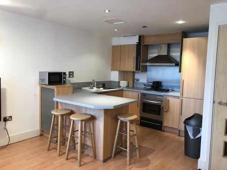 Room in a Shared Flat, Brindley Point Apartments, B16 - Photo 4