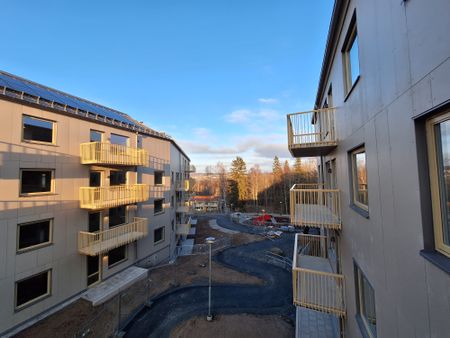 Kalvhagsgatan 24 - Foto 3