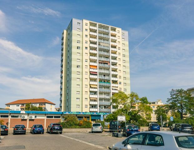 Demnächst frei! 1-Zimmer-Wohnung in Neustadt an der Weinstraße - Photo 1