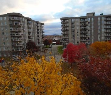 Condo 4 ½ rue Beaufort Anjou LIBRE - Photo 4