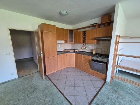 Pronájem bytu 1+kk, 56 m - Photo 3