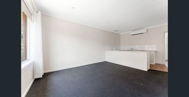 Prime Position on Petrie - Photo 1