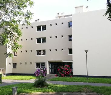 Location Appartement 1 pièce 30m² - Photo 3