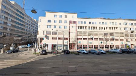 Großzügige 2-Zimmer Wohnung am Musilplatz in 1160 Wien zu mieten - Foto 4