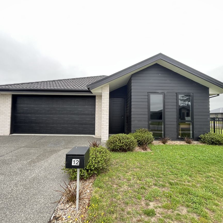 12 Chilton Drive, Rolleston - Photo 1