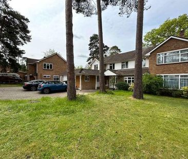 Pankhurst Drive, Bracknell, Berkshire, RG12 - Photo 6