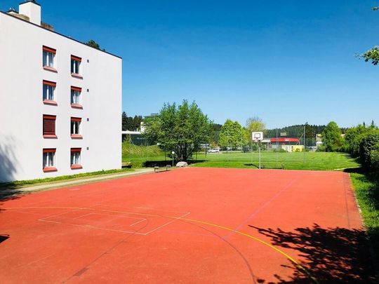 quartier résidentiel ensoleillé dans un environnement adapté aux enfants - Foto 1