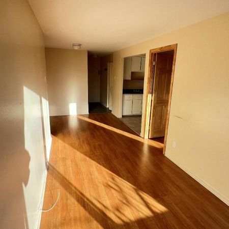 1 CH - 1 SDB - Montréal - $1,146 /mo - Photo 3