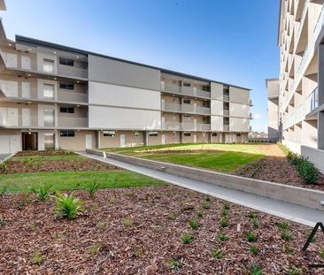 Modern One Bedroom Unit in the Heart of Marrickville - Photo 3