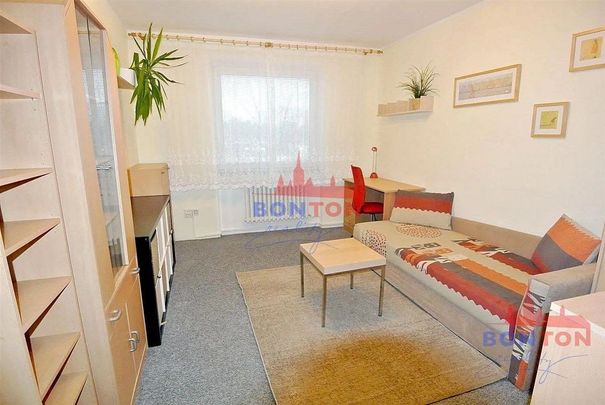 Pronájem pokoje 30 m² - Fotografie 1