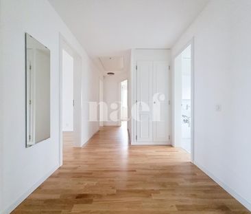 5.5 Zimmer, 230 m² - Photo 6