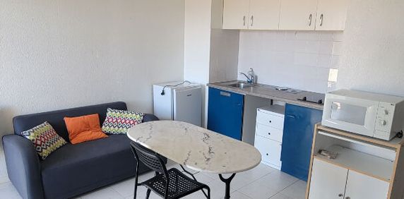 Location Appartement 1 pièce 24m² TOULOUSE 31400 - Photo 2