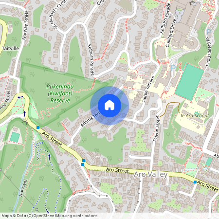 38 Adams Terrace, Aro Valley, Wellington City