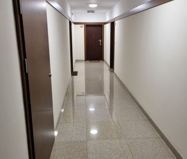 Lublin, Śródmieście, Leszczyńskiego - Zdjęcie 1