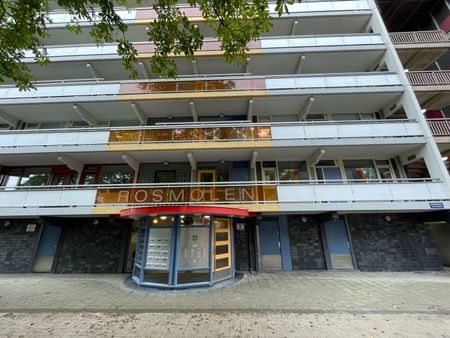 Rosmolen 59, Molenwijk, 1035CC, Amsterdam - Photo 2