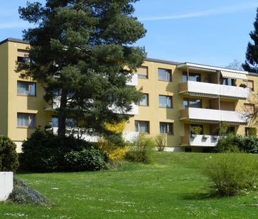 Sonnige Wohnung in Kilchberg - Foto 3