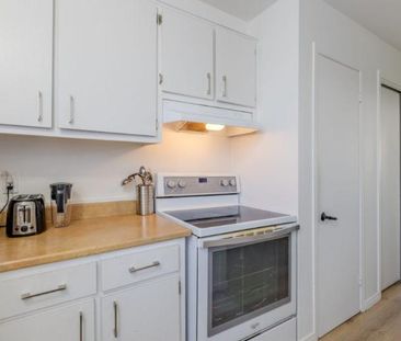 Appartement 4 ½ à louer Lévis janvier 2026 - Photo 2