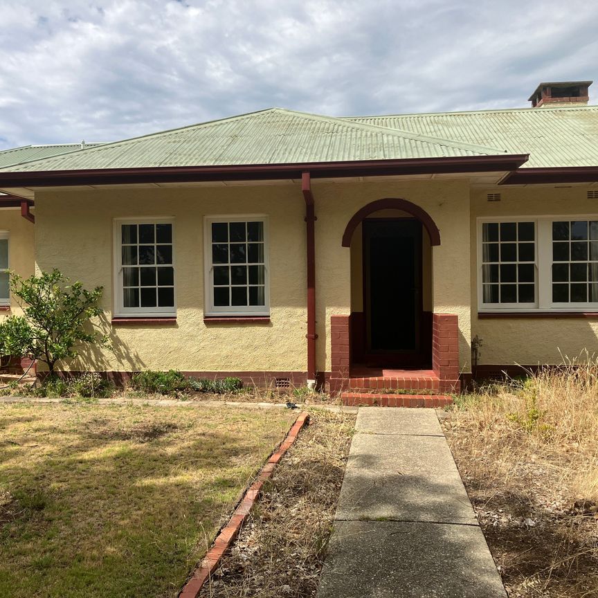 Ainslie - Photo 1