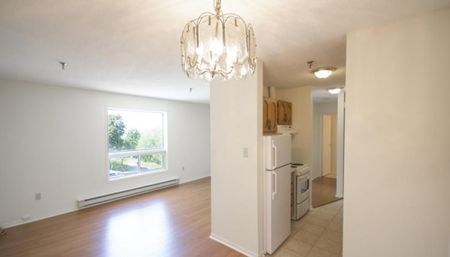 246 Bedford Highway - Photo 5