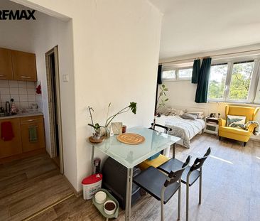 Pronájem bytu 1+1 36 m² - Photo 4