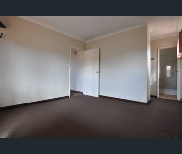 LARGE SHED AND AMPLE PARKING - 4x2 Close to CBD - Photo 5