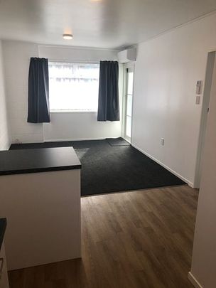 Newly updated two-bedroom unit - Photo 1