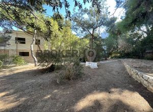 Μονοκατοικία για ενοικίαση - Βάρη - Βάρκιζα, - Photo 5