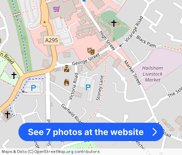 Pets Considered - Photo 1