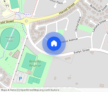 Macquarie Fields - Photo 1