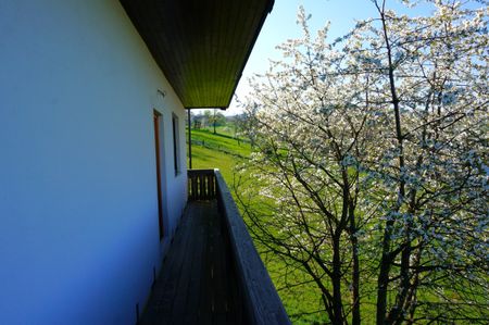 Einfamilienhaus in idyllischer Hanglage zur Miete - Foto 5