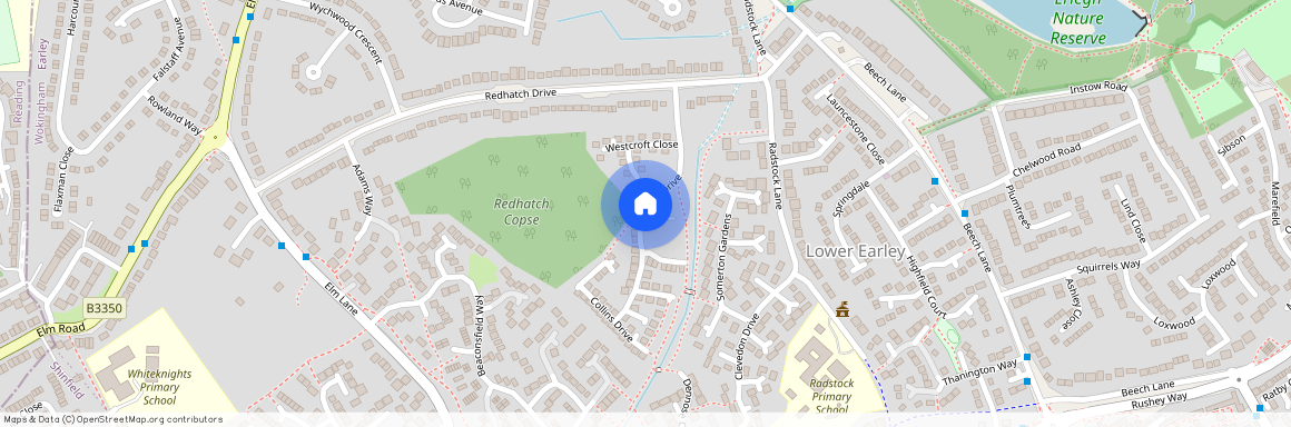 Collins Drive, Earley, Reading, RG6