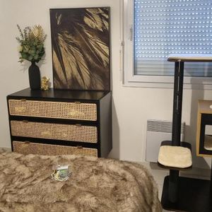 Location Appartement 2 pièces 40m² BEZIERS 34500 - Photo 3