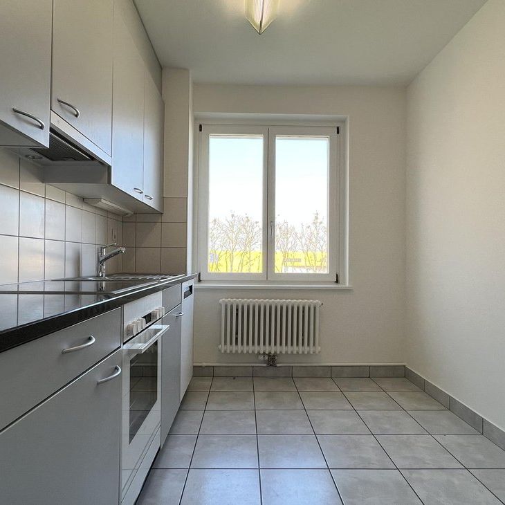 Gemütliche Wohnung im Dreiländereck - Photo 1