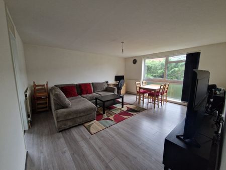 1 Bed Flat, Pampisford Road, CR8 - Photo 4